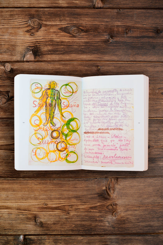 Frida Kahlo's diary. a new look