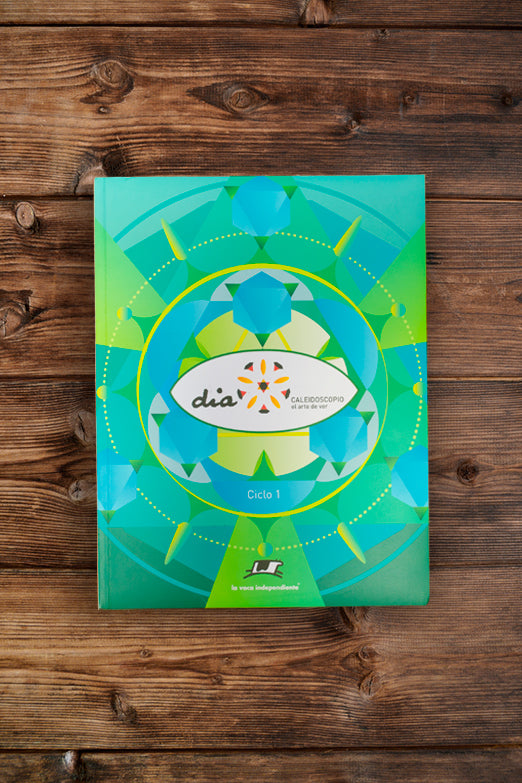 Dia caleidoscopio, el arte de ver