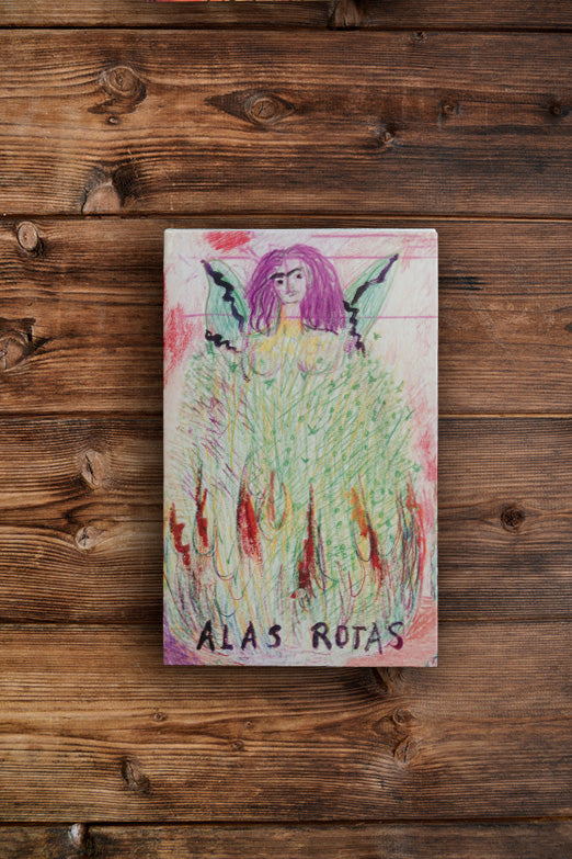 Libreta Frida Kahlo, Alas rotas
