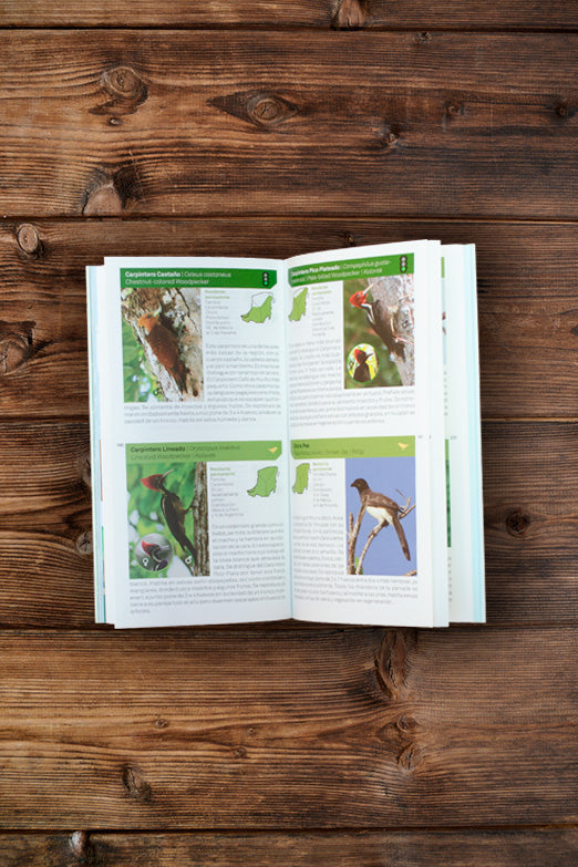 Go birding in the Yucatan. Bird guide. (2Ed)