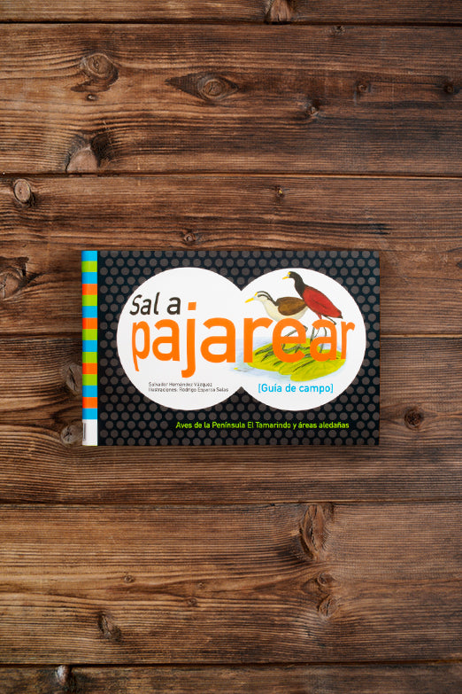 Sal a pajarear Jalisco, una guía de aves de El Tamarindo y alrededores