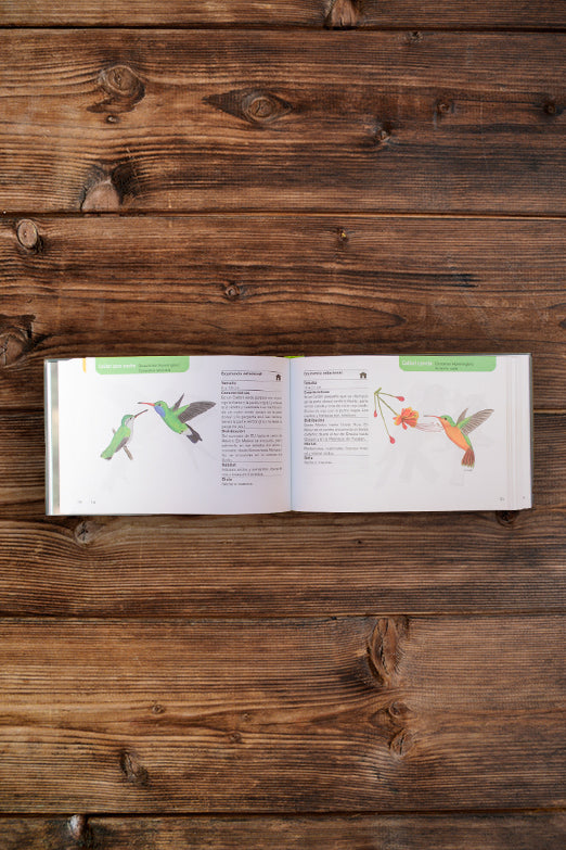 Go birding Jalisco, a guide to birds of El Tamarindo and surroundings