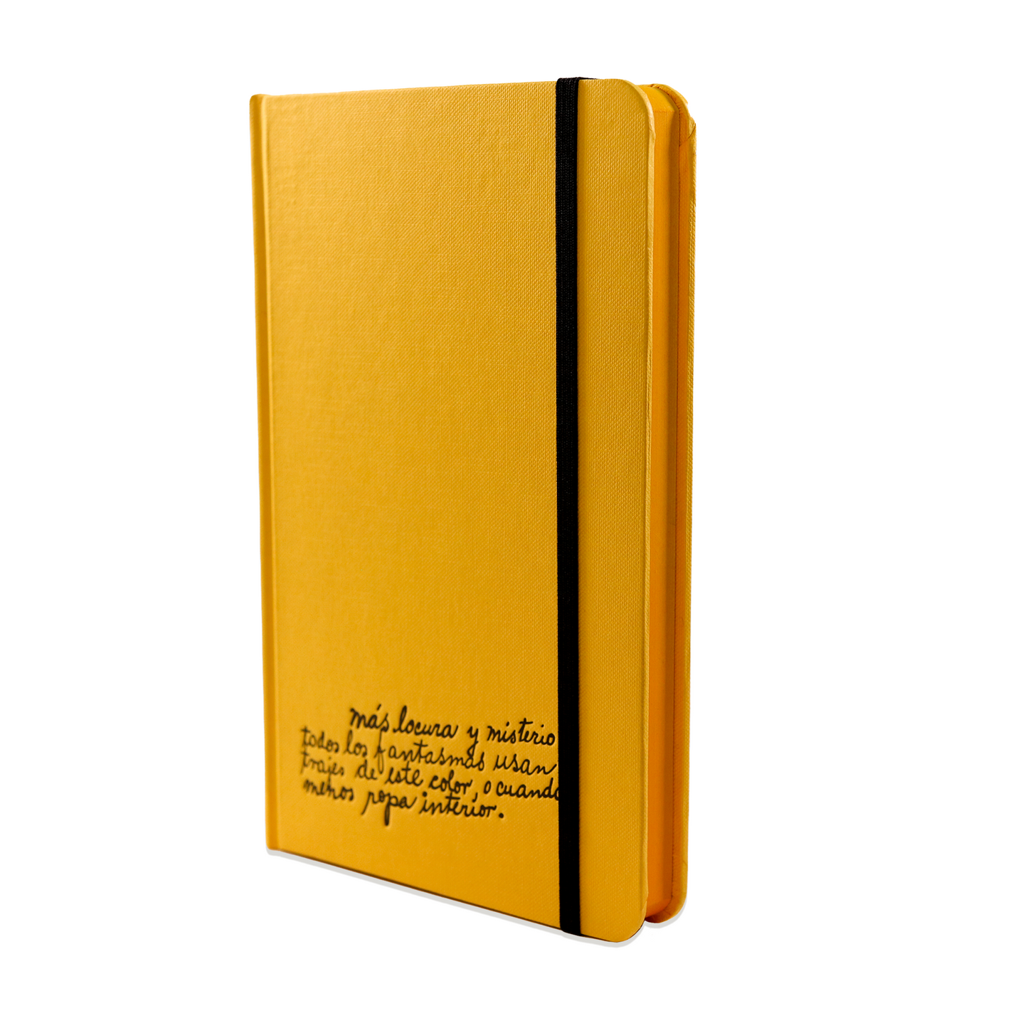 Frida Kahlo yellow notebook, "More madness and mystery"